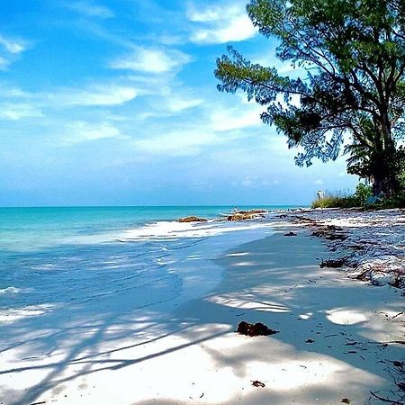 Welcome To The Paradise 迈尔斯堡海滩 外观 照片