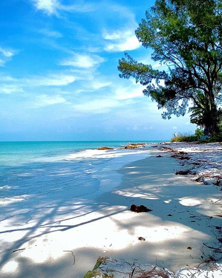 Welcome To The Paradise 迈尔斯堡海滩 外观 照片